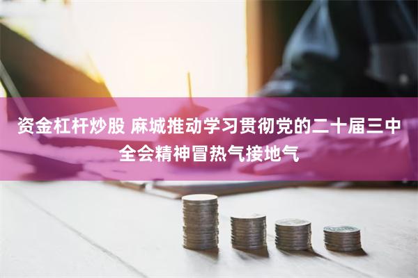 资金杠杆炒股 麻城推动学习贯彻党的二十届三中全会精神冒热气接地气