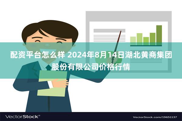 配资平台怎么样 2024年8月14日湖北黄商集团股份有限公司价格行情