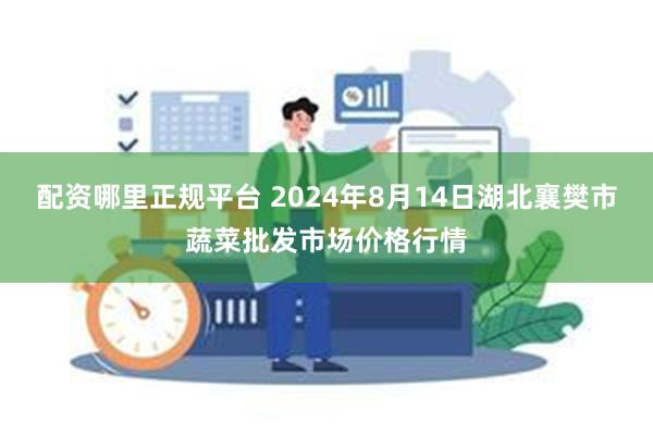 配资哪里正规平台 2024年8月14日湖北襄樊市蔬菜批发市场价格行情