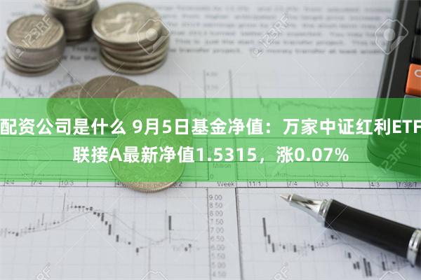 配资公司是什么 9月5日基金净值：万家中证红利ETF联接A最新净值1.5315，涨0.07%