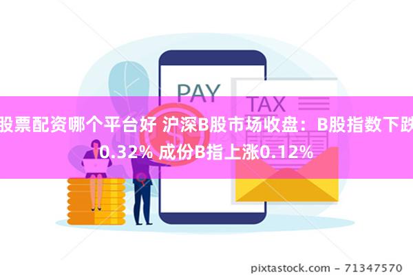 股票配资哪个平台好 沪深B股市场收盘：B股指数下跌0.32% 成份B指上涨0.12%