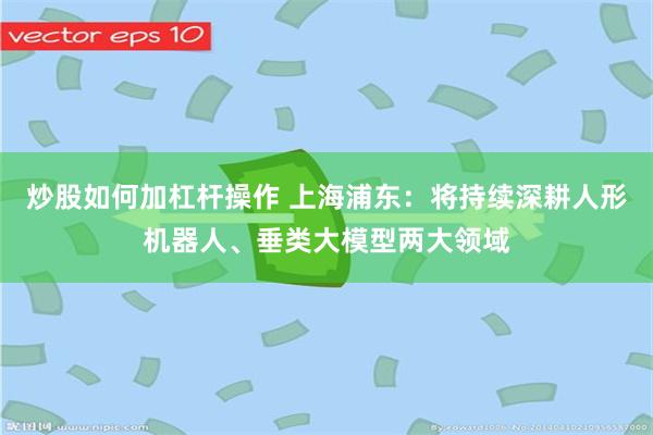 炒股如何加杠杆操作 上海浦东：将持续深耕人形机器人、垂类大模型两大领域