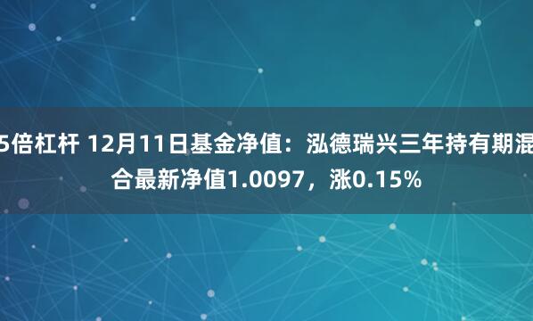 5倍杠杆 12月11日基金净值：泓德瑞兴三年持有期混合最新净值1.0097，涨0.15%