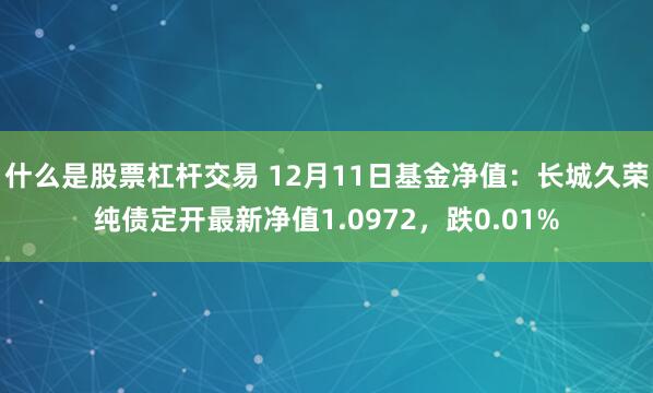 什么是股票杠杆交易 12月11日基金净值：长城久荣纯债定开最新净值1.0972，跌0.01%