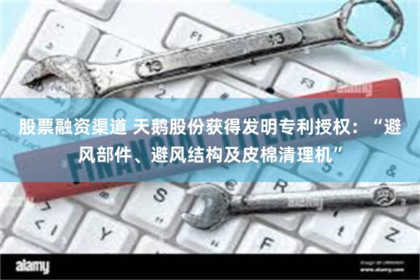 股票融资渠道 天鹅股份获得发明专利授权：“避风部件、避风结构及皮棉清理机”