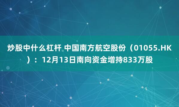 炒股中什么杠杆 中国南方航空股份（01055.HK）：12月13日南向资金增持833万股