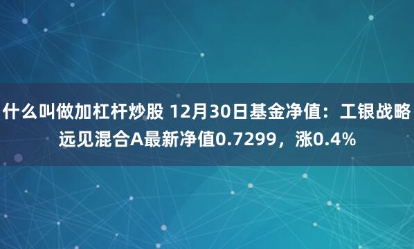 什么叫做加杠杆炒股 12月30日基金净值：工银战略远见混合A最新净值0.7299，涨0.4%