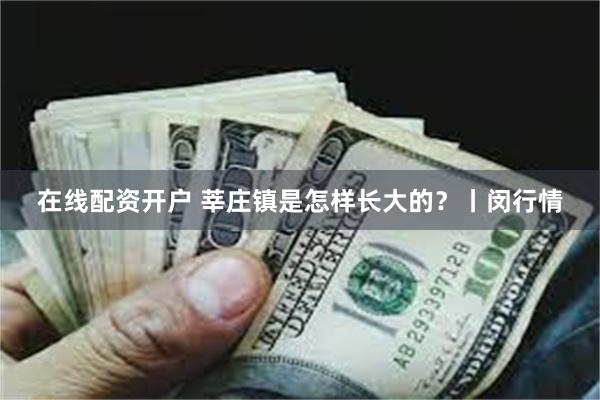 在线配资开户 莘庄镇是怎样长大的？丨闵行情