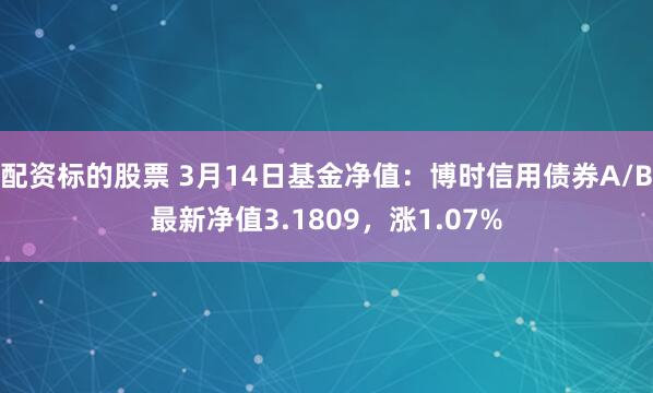 配资标的股票 3月14日基金净值：博时信用债券A/B最新净值3.1809，涨1.07%