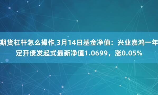 期货杠杆怎么操作 3月14日基金净值：兴业嘉鸿一年定开债发起式最新净值1.0699，涨0.05%